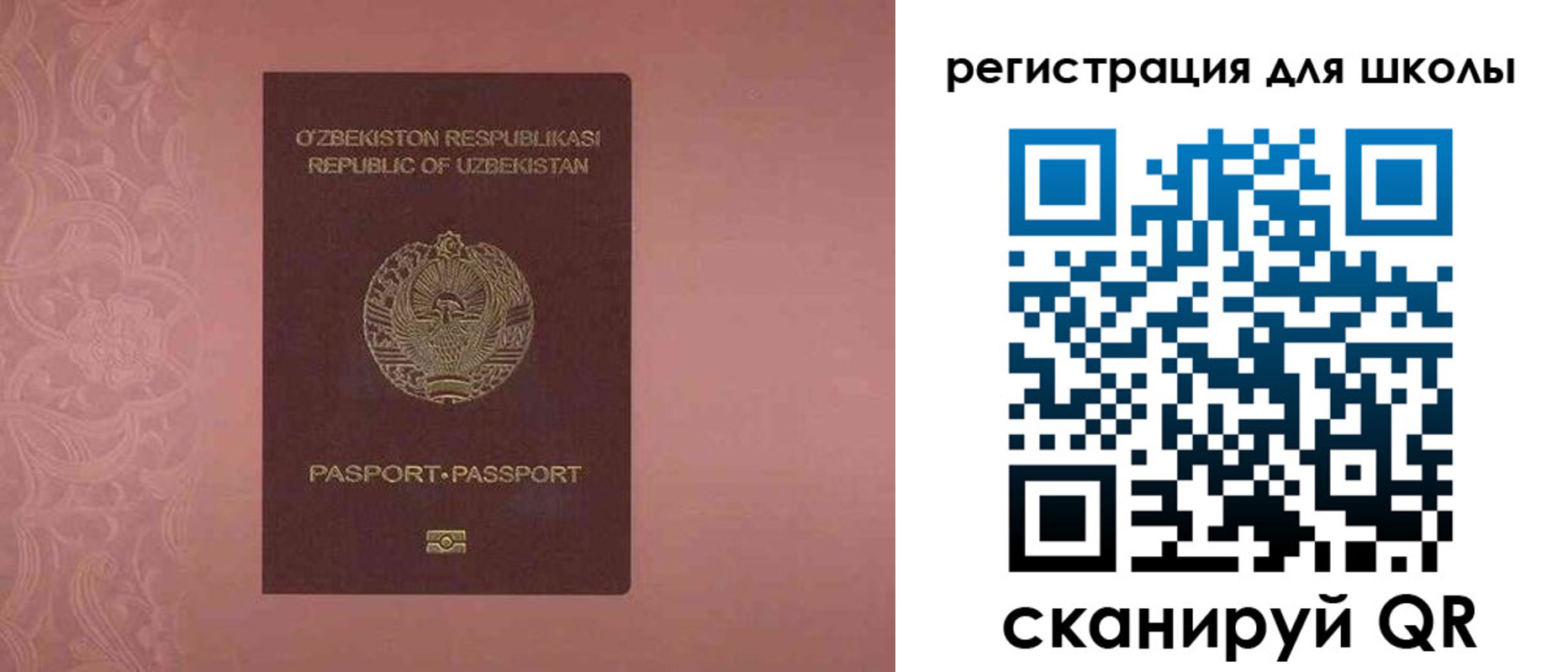 прописка для школы в Покрове