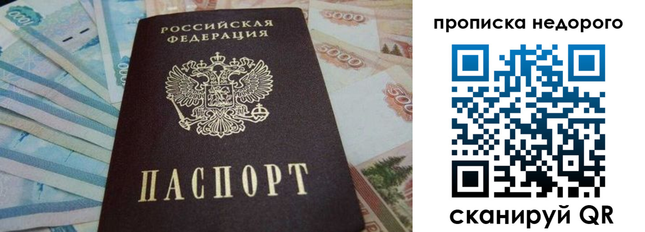 временная регистрация поиск в Покрове