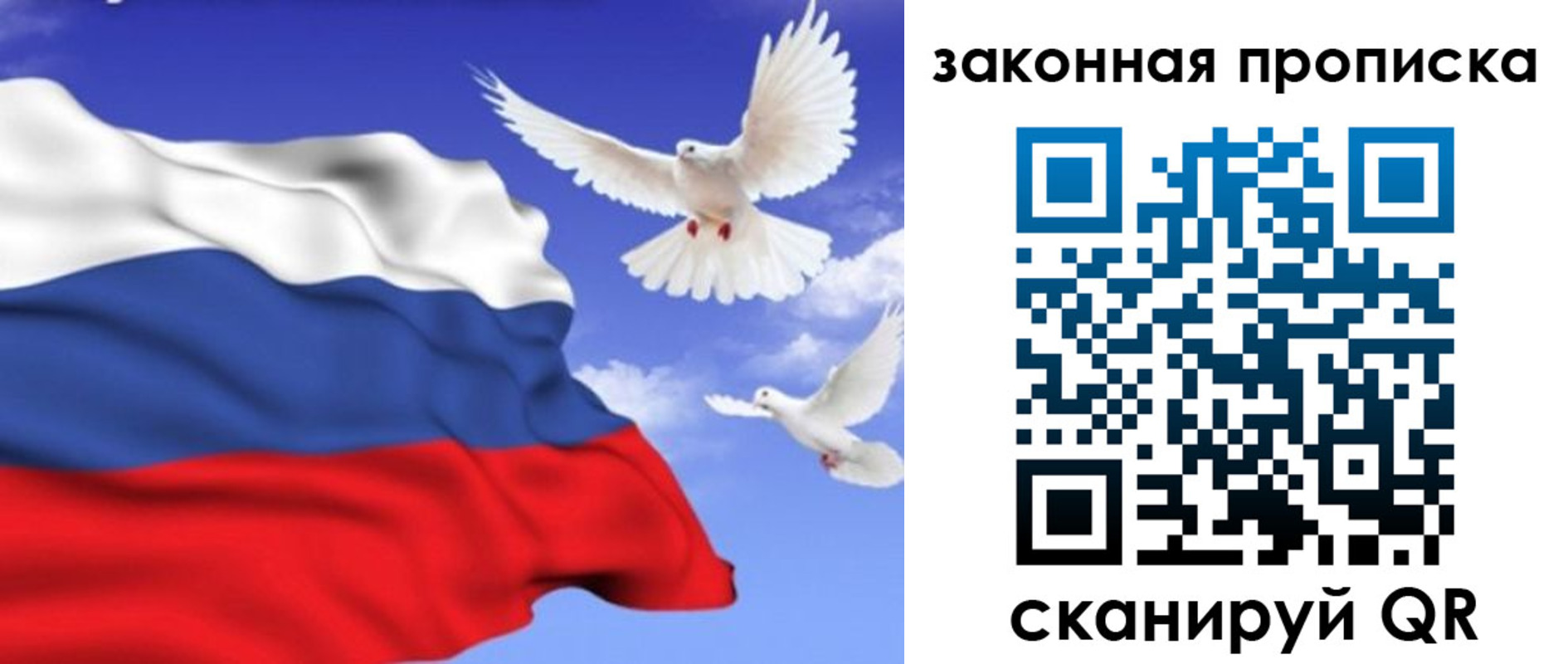 регистрация в Покрове